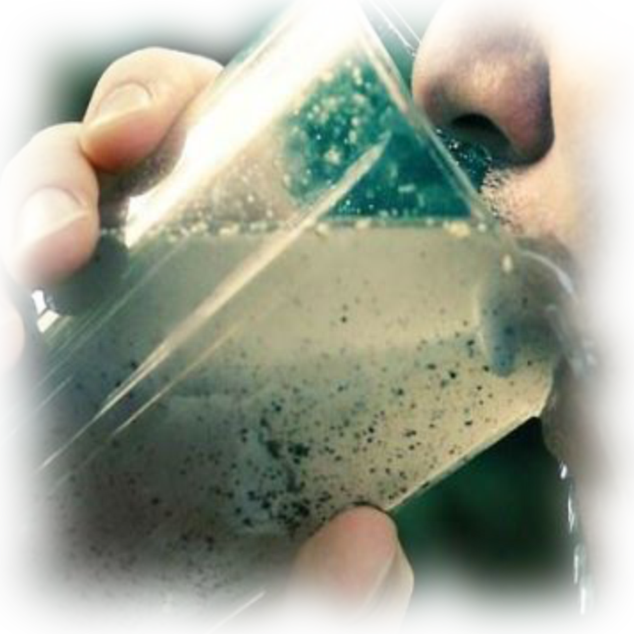 مضرات نیترات و نیتریت محلول در آب شرب